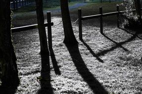 wooden fence near the trees at night