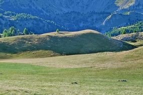 landscape of mountain pastures in summer