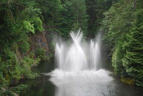 waterfalls in a butchart gardens in spring