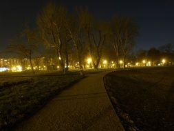 night lights in the city park