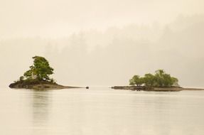 trees among the water like islands