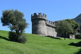 medieval tower cattle in green field