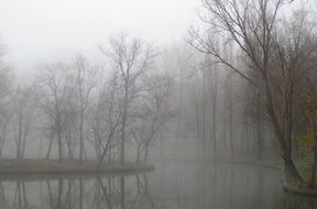 fog over a forest lake