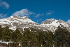 mountains behind a forest in switzerland