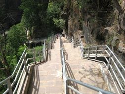 stairway with railing along rock above forest