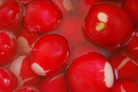 cleaned radishes in water