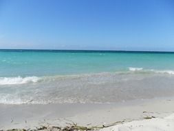 delicate and beautiful beach