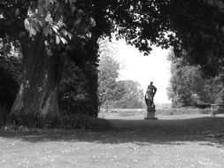 ancient statue among the trees