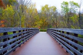 bridge in the park near the autumn trees