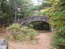 stone bridge in the national park