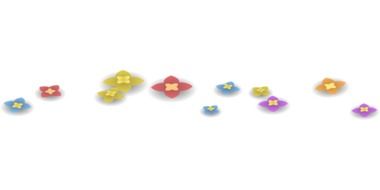 colorful blossoms on a white background