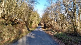 wondrous autumn road