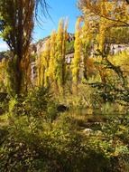 river in the autumn forest