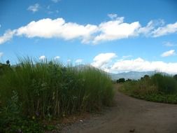 long road along the green field