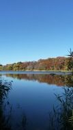 trees by the lake in autumn