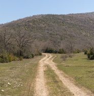 path forest mountain view