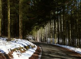 country road in the winter forest