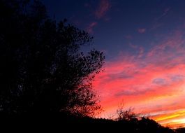 sunrise with a pink sky