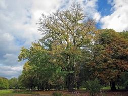 city park in Bad Kissingen, Germany