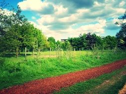 new trees in garden at soil road, france