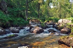 big stones on the river in the forest