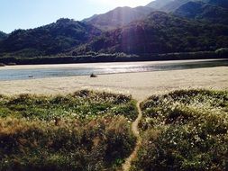 landscape of silver grass near the mountain river