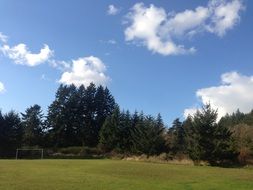 wondrous field
