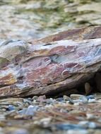 rocks near the lake