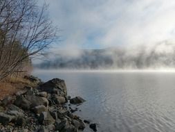 early morning fog on the water