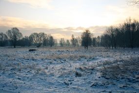 winter landscape at bright sunset