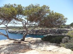 picturesque Mediterranean coast