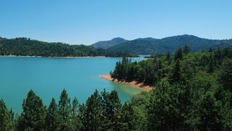 panorama of a green forest by the lake in California