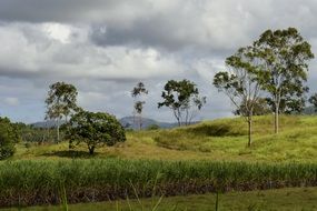 australia nature