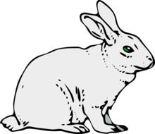 rabbit drawing