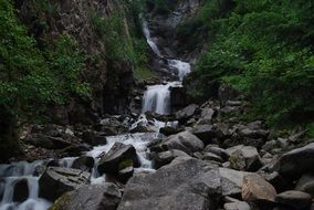 cascading waterfall among the forest