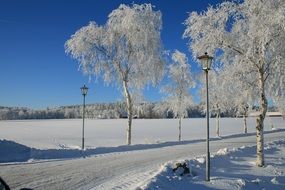 landscape of unique and elegant winter in countryside