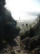 path to the ocean coast