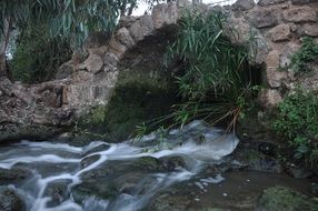 old stone bridge over a river with green plants