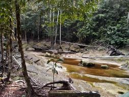 river among the rocky shores in the jungle