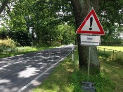 road sign with an exclamation mark on the lawn in the park