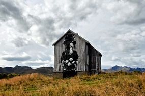 painted shed in netherlands