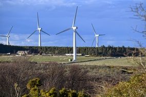 wind turbines on the farm fields