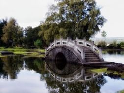 landscape of the stone bridge over the river in hawaii