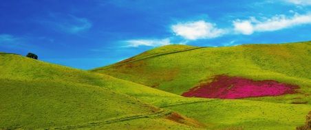 green fields under blue sky