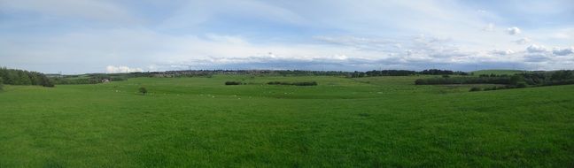 Green field countryside Panorama