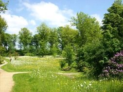 summer garden landscape