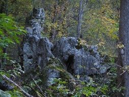 rocks in the forest at kalktuffberg