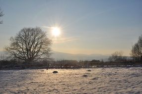 calm winter landscape at dusk