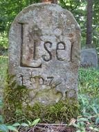 dog grave in the cemetery