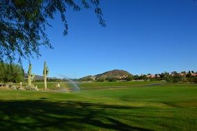 golf course desert